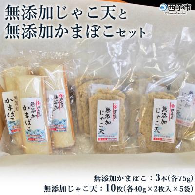 ふるさと納税 西予市 &lt;伊予蒲鉾　無添加じゃこ天と無添加かまぼこセット&gt;　天ぷら　練り物　おつまみ　魚介　郷土料理