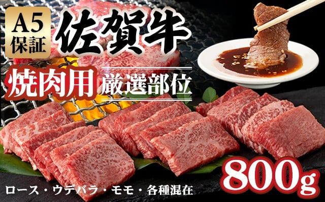 
            【佐賀牛】 A5 焼肉用 厳選部位 800g（400g×2P）桑原畜産 焼肉 ブランド牛 黒毛和牛 焼肉 九州 佐賀牛 A5だけ 薄切り 焼き肉 やきにく 焼肉 人気 ランキング 高評価 焼肉 牛肉 国産
          