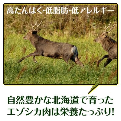 ふるさと納税 浜頓別町 犬 おやつ 鹿肉 冷凍エゾシカ生肉 2kg (200g×10パック) |  | 02