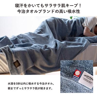 ふるさと納税 今治市 (今治タオル)クーベルチュールタオルケット スタンダード(サックスブルー)【I003470SB】 |  | 01