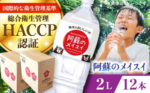 阿蘇のメイスイ 2L 計12本(6本×2ケース)  / 天然水 てんねんすい 水 みず 2年保存 定期便 水 2リットル 天然水 ペットボトル ケース 箱 段ボール ダンボール 備蓄 防災備蓄用 防災 おいしい水 国産 ミネラルウォーター 熊本県 菊陽町【丸富産業株式会社】 [BHDG006]