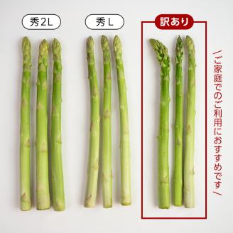 【訳あり】 朝採れ新鮮アスパラ 1kg （S～2Lサイズ混合） 野菜 北海道産 バーベキュー BBQ キャンプ 旬野菜 ワケあり わけあり アスパラガス 冷蔵発送 F21W-304