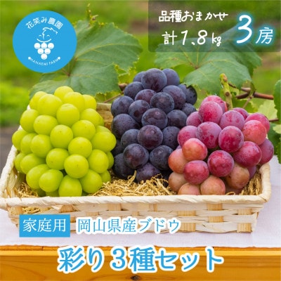 【2026年先行受付】岡山　花笑み農園のブドウ『彩り3種セット』家庭用　1.8kg(3房)3M-2家【配送不可地域：離島】【1695415】
