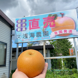 浅海農園　市川のブランド梨　幸水3kg　【12203-0086】