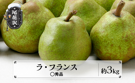 先行予約 ラ・フランス ◯秀品 約3kg(6~12個程度) 11月中旬~12月中旬頃発送 山形県産 フルーツ 果物 くだもの ラフランス 洋梨 西洋梨 令和8年産 2026年産 佐竹物産 sb-lamsx3-b