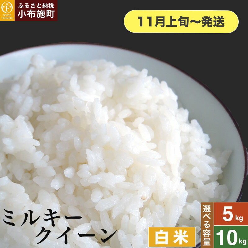 【ふるさと納税】 ミルキークイーン 白米 約5kg 約10kg 選べる容量［おぶせファーマーズ］ お米 米 おこめ こしひかり 長野県産【2025年11月上旬～発送】