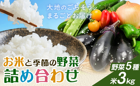 米 野菜 詰め合わせ 季節の野菜 きぬむすめ ひのひかり おまかせ 米3kg+野菜5種 ありがとう園《30日以内に出荷予定(土日祝除く)》岡山県 矢掛町 お米 白米 旬の野菜