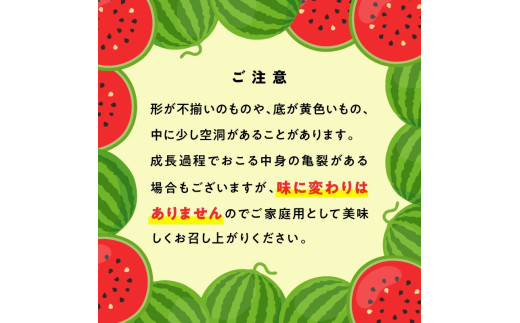 スイカ1玉(約7㎏級) N0195-YA2233_イメージ5