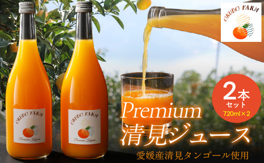 Premium清見ジュース（2本セット）※北海道・沖縄・離島への配送不可【 ふるさと納税 人気 おすすめ ランキング 柑橘 みかん ミカン フルーツ ジュース みかんジュース ミカンジュース オレンジジュース 清見 果物 OKUBO FARM 愛媛県 伊方町 送料無料 】 IKTAT001