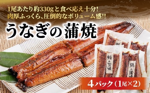 うなぎの蒲焼 _c-133