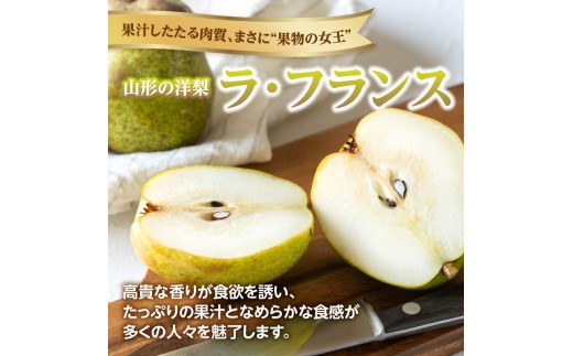 《先行受付》ラフランス 約3kg （7～11玉） 【2026年11月上旬頃～発送予定】【山形洋梨】