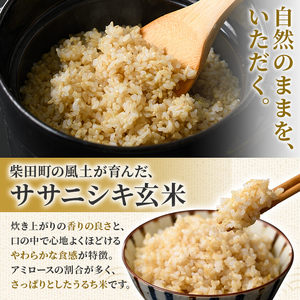 ＜先行予約！R8年10月中旬から順次発送予定＞【令和8年産 新米】ササニシキ 玄米 30kg 柴田町産 お米 おこめ 米 コメ ご飯 ごはん おにぎり お弁当 【農事組合法人 葉坂希望の郷】sh106