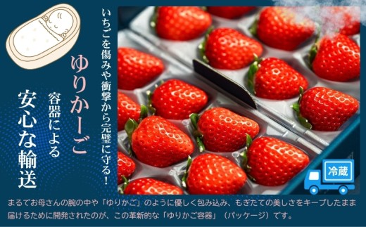 【先行受付！2027年2月から発送開始】事業者お任せ！紅白いちご食べ比べ定期便　全3回（2月〜4月）：B400-025