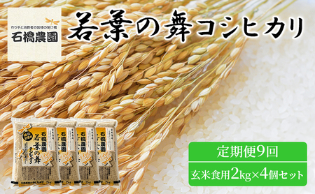 米 若葉の舞 コシヒカリ 玄米食用2Kg×4個セット 定期便9回 こしひかり セット お米 玄米 千葉 千葉県 低温保存