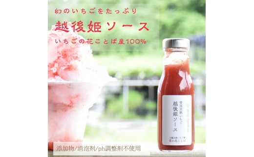 
            越後姫ソース（大瓶）　5瓶 いちご イチゴ 苺 加工品 お取り寄せ 新潟
          