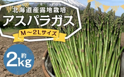 北海道産 露地栽培 アスパラガス M～2L 約2kg 【2026年5月下旬～6月上旬迄発送予定】 グリーンアスパラガス アスパラ 野菜 北海道 京極町 冷蔵