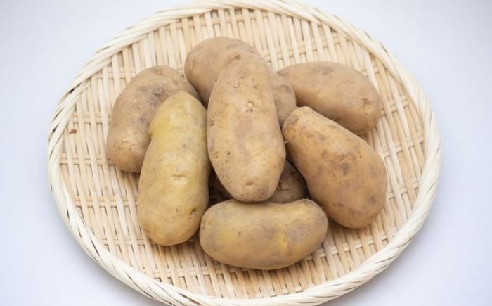 
            【2026年10月中旬頃発送予定】じゃがいも 先行予約 北海道 厚真ファームのこだわりじゃがいも「メークイン」10kg《厚真町》【(株)厚真ファーム】令和8年産 ジャガイモ 芋 いも [AXAE002] 8000 8000円
          