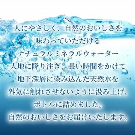 【毎月定期便】「おいしい水」 天然水 600ml【24本入】アサヒ飲料全2回　防災【4060656】