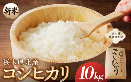 【令和7年度産】栃木県北産コシヒカリ 10kg入【栃木県共通返礼品】ns091-001