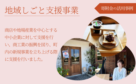 【返礼品なし】兵庫県香美町 ふるさとづくり寄附金（4,000円分） 25-36