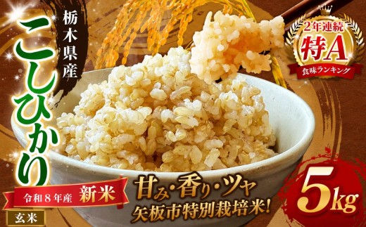 【令和８年産 新米】矢板市特別栽培米 お米 訳あり こしひかり 玄米 5kg |栃木県 矢板市