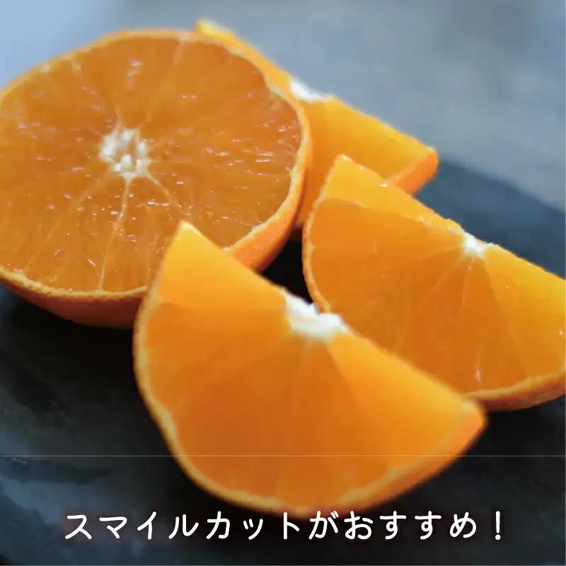 数量限定 先行予約 訳あり まどんな 2kg 8000円 愛果28号 岡平農園 愛南町 愛媛県