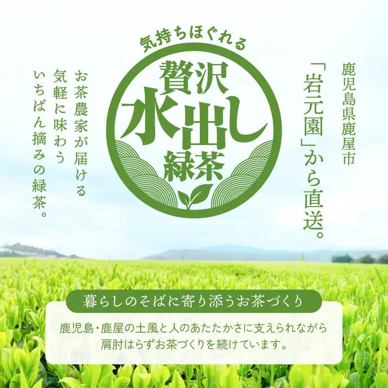 お茶 農家 の 水出し 緑茶 ティーバッグ（ 1番茶 使用 500ml対応 ） KN166-002-01 茶