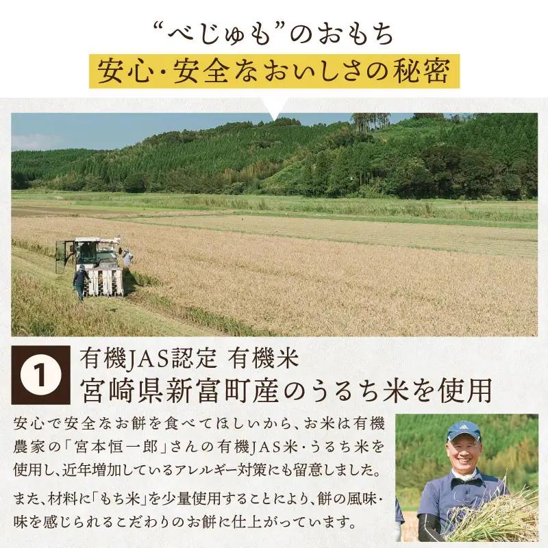 有機米でつくった箸でほぐれる手づくり 冷凍おもちセット 180g×3袋（小）／180g×3袋（大）【B481】