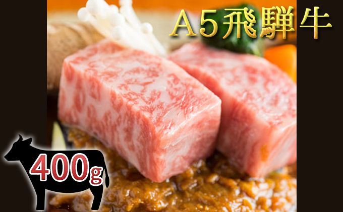 A5 飛騨牛ロースステーキ 2枚 400g