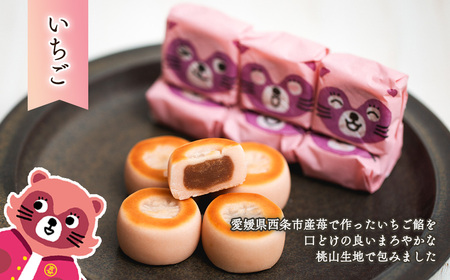 西条銘菓「たぬきまんじゅう」3種アソート18個入　つぶあん いちご 抹茶 和菓子