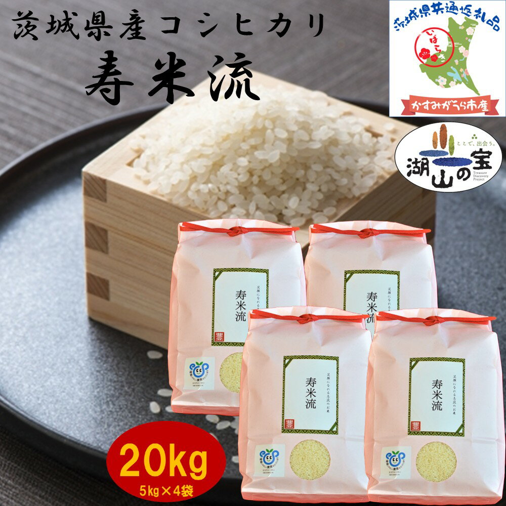 【ふるさと納税】 令和7年度産 コシヒカリ 寿米流 すまいる 20kg 農家直送 出荷日精米 茨城県産 5kg×4袋 茨城県共通返礼品 かすみがうら市産 米 お米 白米 こめ 精米 取り寄せ 特産 ごはん ご飯 コメ お取り寄せ ギフト 贈り物 弁当 おにぎり ふっくら 甘い 産地直送 国産