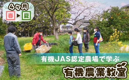 No.528 有機JAS認定農場で学ぶ4ヶ月 有機農業教室（春～夏）