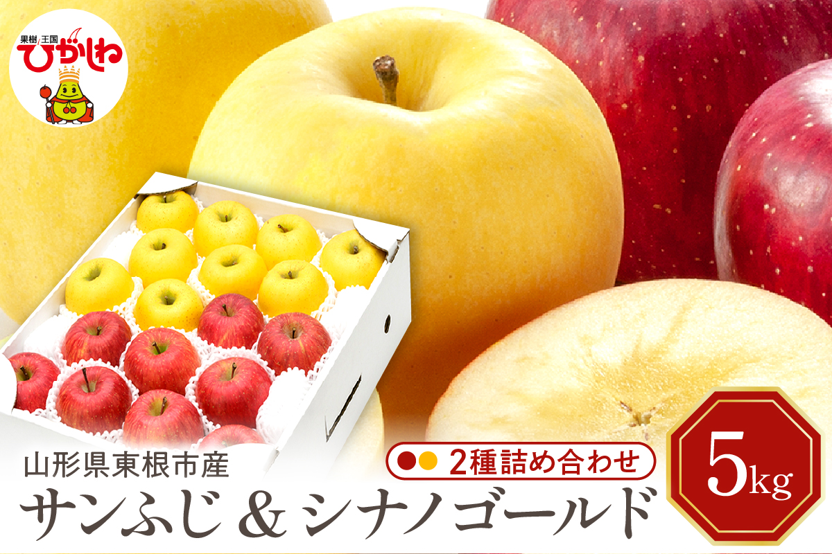 【令和7年産 先行予約】りんご サンふじ&シナノゴールド 詰め合わせ 5kg(秀品) 東根市 山形県 東根農産センター提供 hi027-208-2