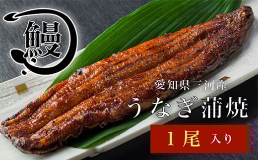 うなぎの蒲焼1尾 ／ 花心亭 熟練職人 三河一色 高級 鰻 ふっくら 鰻の蒲焼 こだわりのたれ お取り寄せ ごちそう 贈り物 愛知県 No.140