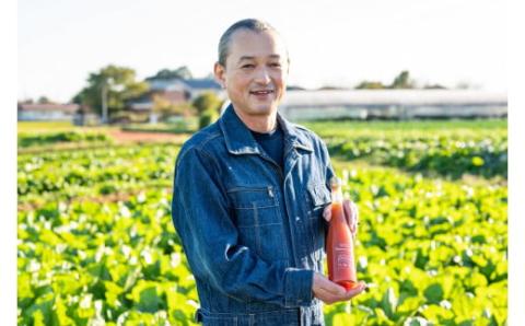国産トマト100％ 濃厚プレミアムトマトジュース 500ml×2本