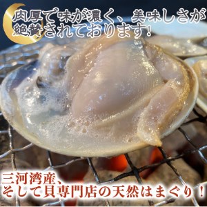 岬だより 希少 天然はまぐり 大サイズ 500g×4袋 [配送不可地域：離島]