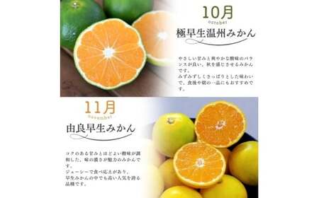 みかん 定期便 5回 計22.5kg 【温室みかん・超極早生温州・極早生温州・由良早生・早生温州】【nkmr-tkb0002】