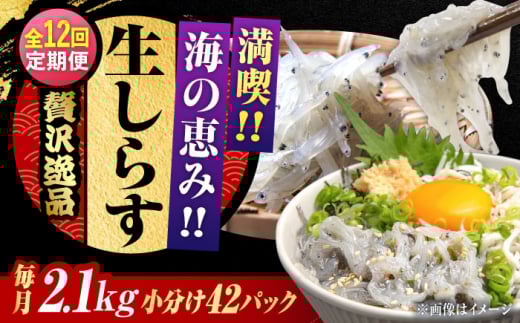 【全12回定期便】しらす 冷凍 シラス　小分け 干し 生しらすのプリッした食感と塩味が抜群！生しらす50g×42個 冷凍 シラス 鮮魚 ギフト 海鮮丼 広島県産 江田島市/三島水産株式会社 [XCN019]