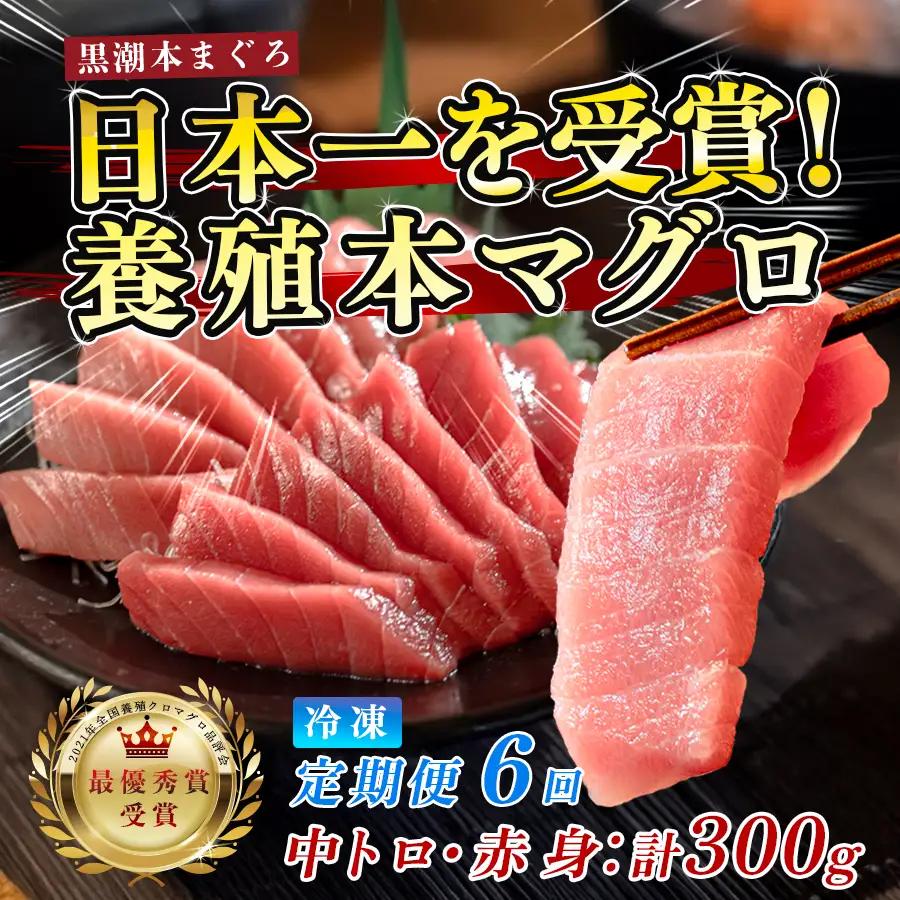 訳あり 不定貫 まぐろ マグロ 本鮪 黒潮本まぐろ 中トロ 赤身 定期便 6回 計300g × 6回 刺身 柵 冷凍 (PT0080_0615)