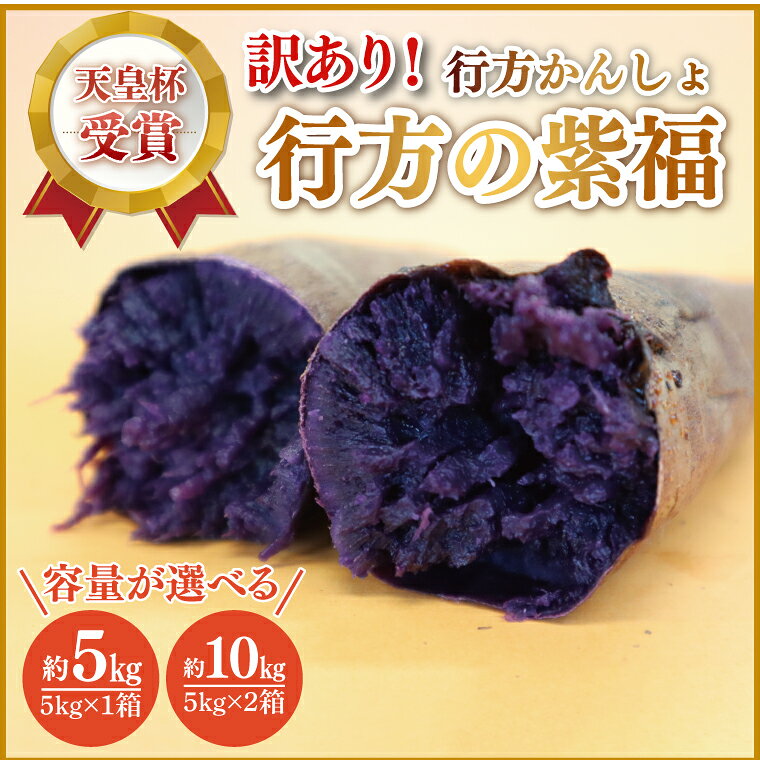 【ふるさと納税】【選べる内容量】【2026年12月より順次発送】【訳あり】行方かんしょ「行方の紫福」さつまいも約5kg・約10kg（洗い・不揃い・C品）｜さつまいも サツマイモ さつま芋 お芋 行方の紫福 訳あり わけあり 訳アリ 行方かんしょ 茨城県 行方市(AE-112)