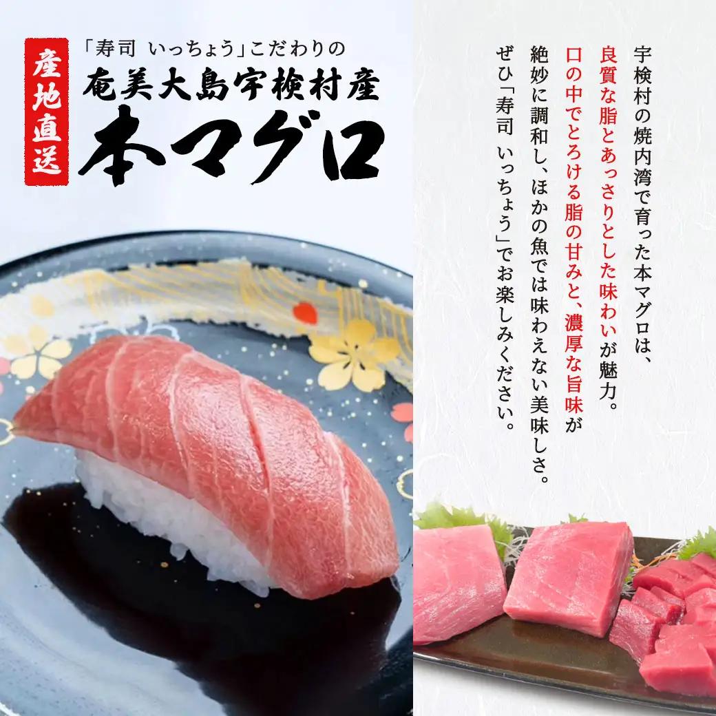 奄美大島 寿司いっちょう お食事券（9,000円分）