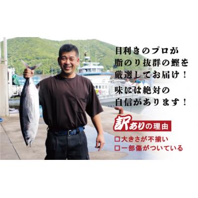 ふるさと納税 愛南町 訳あり かつおのたたき 1kg と 愛南ゴールド 真鯛 200g お試し セット ハマスイ 愛南町 |  | 01
