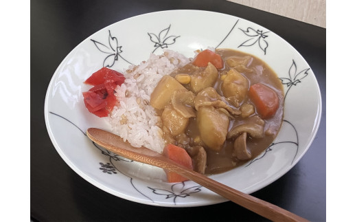 伊万里焼 うこぎ（黒・赤）スーププレート H1058_イメージ3