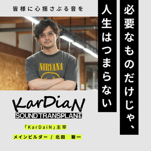 Serotonin Origin S.T. "ADD CBF"　クリーンローパス フィルター モジュール クリーン ブースター エフェクト部分 調整 エフェクター エレキ ギター ベース 楽器 サウン