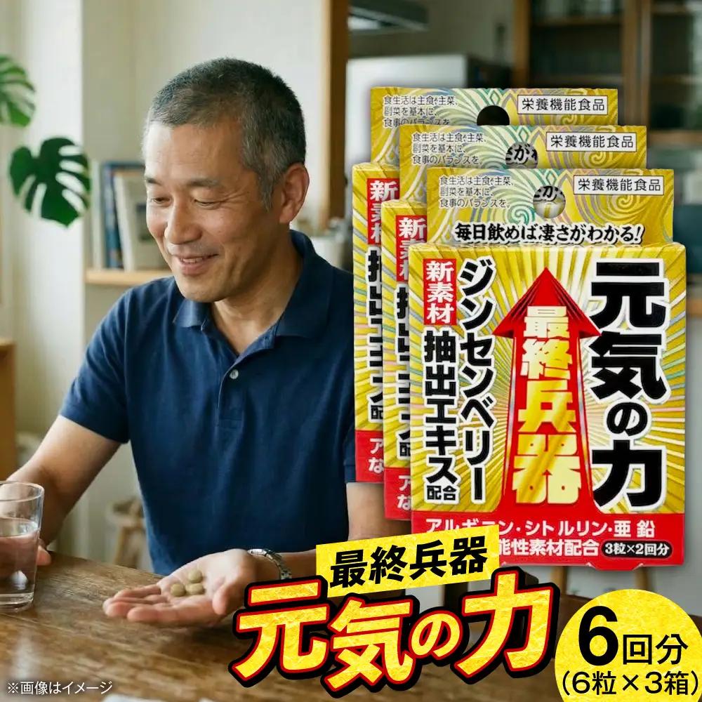 サプリ 最終兵器 元気の力 6粒 3箱セット サプリ BLAX016