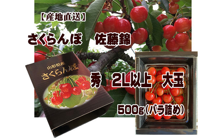 
            [産地直送] 大玉さくらんぼ 佐藤錦 2L以上 大玉 500g(バラ詰め) 【令和7年産先行予約】FU22-122 くだもの 果物 フルーツ 山形 山形県 山形市 2025年産
          