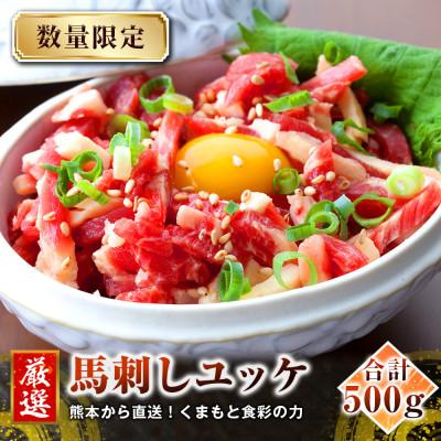 ふるさと納税 菊池市 【馬刺し】熊本直送　ユッケ500g(50g×10個)　ユッケたれ付(菊池市)