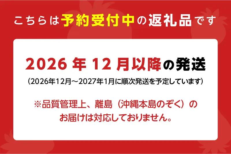 【2026年12月以降お届け】福岡産［冬］あまおう2パック_冬くるめ あまおう 250g × 2パック 合計 500g 冷蔵 濃厚 甘い 大粒 果汁 アフター保証 安心安全 国産 いちご 果物 アレン