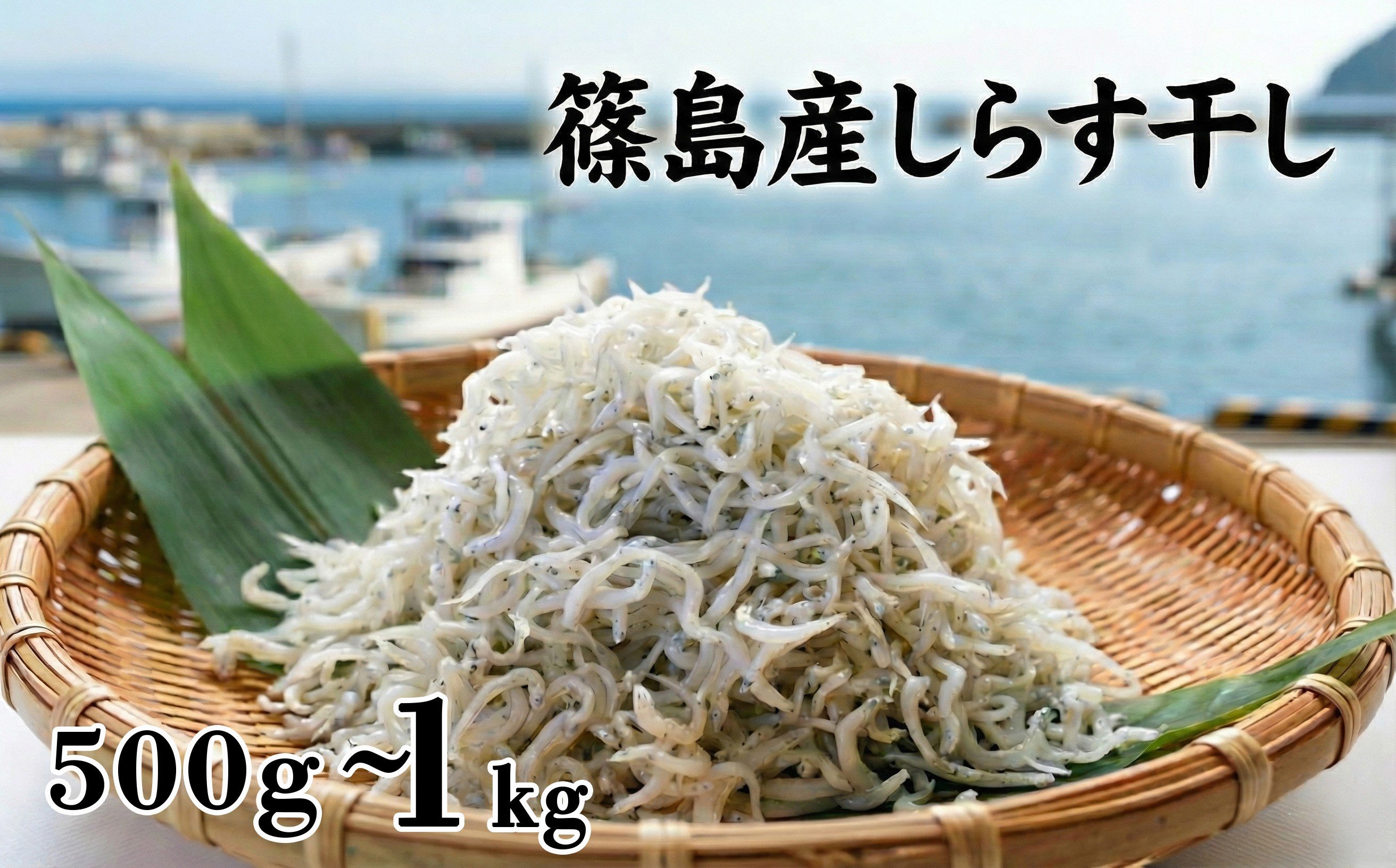 
                  ＜篠島産＞ 選べる容量 しらす干し500g~1kg シラス 南知多産 愛知
                