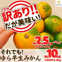 【ふるさと納税】訳あり ゆら早生 みかん 箱込 2.5～10kg サイズミックス 有田みかん 和歌山県産 【みかんの会】 | 和歌山 フルーツ 果物 くだもの かんきつ 柑橘 柑橘類 みかんの会 送料込み 送料無料